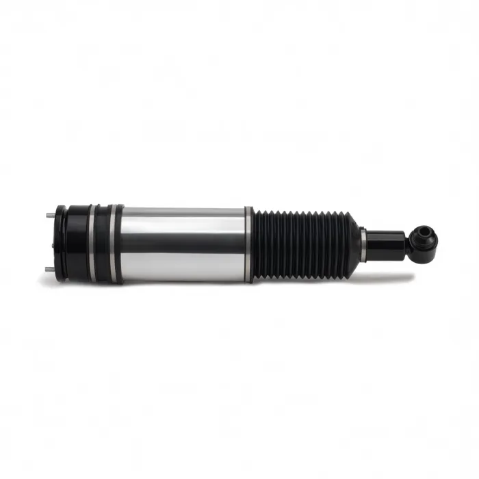 37126758574 Air Suspension Parts Air Suspension Strut for BMW 7 (E65, E66, E67)