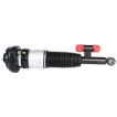 37107915953 Air Suspension Parts Air Suspension Strut for BMW 7 (G11, G12)