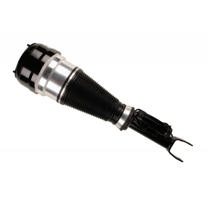 2213209613 Air Suspension Parts Air Suspension Strut for MERCEDES-BENZ S-CLASS (W221)