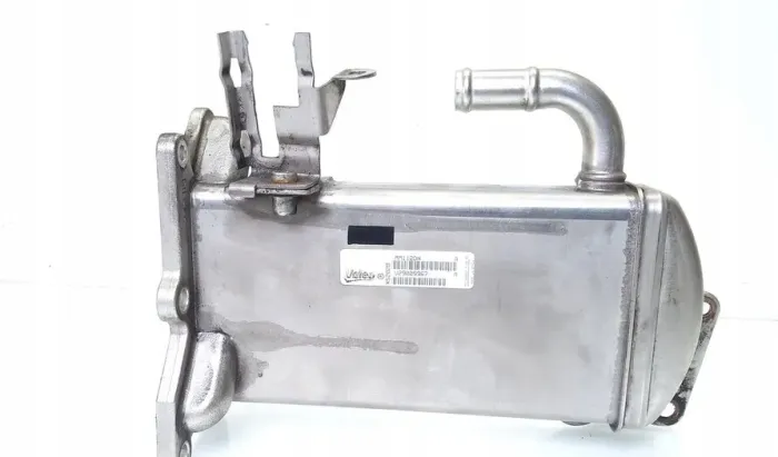 V29009967 EGR Cooler for AUDI A6 4G5, SEAT EXEO ST (3R5)