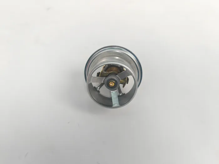  Thermostat for PORSCHE 918 Spyder