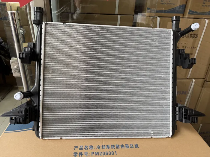 1ED121251 Engine Parts Radiator for 