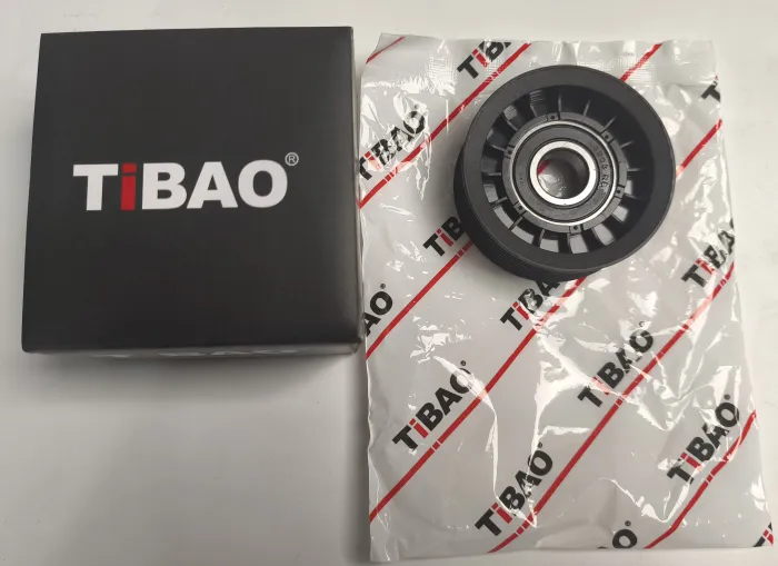 0N1676S Engine Parts Tensioner Pulley for AUDI Q7, VW TOUAREG