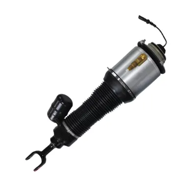 3D0616039D Air Suspension Parts Air Suspension Strut for