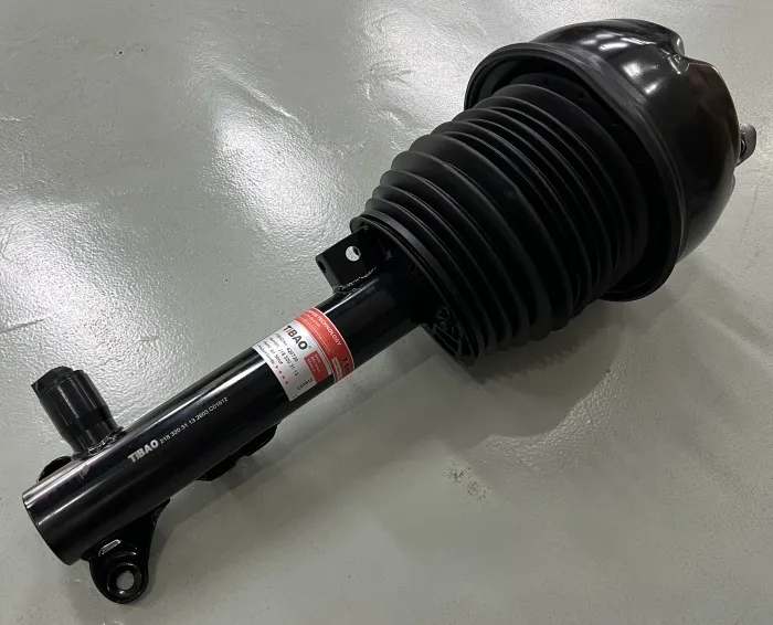 2183203113 Air Suspension Parts Air Suspension Strut for MERCEDES-BENZ CLS (C218)