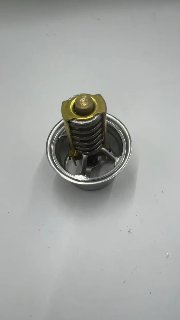  Thermostat for PORSCHE 918 Spyder