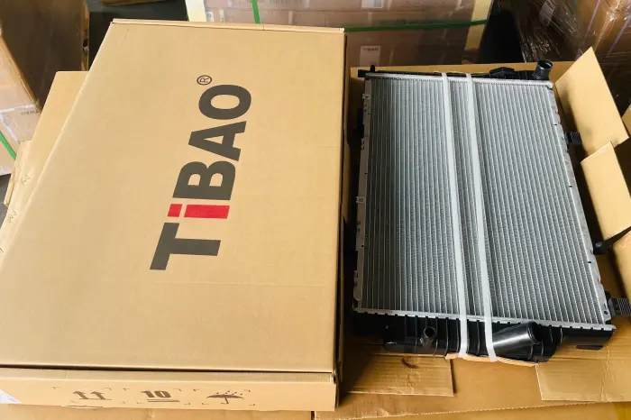 2025008203 Engine Parts Radiator for MERCEDES-BENZ CLK (C208)