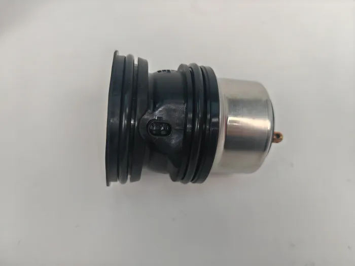 94810603401 Engine Parts Thermostat for PORSCHE MACAN (95B), CAYENNE (92A), PANAMERA (970)