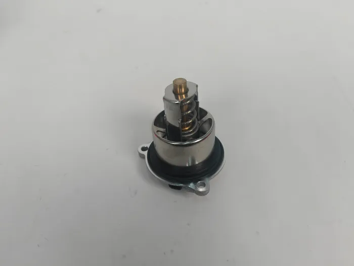  Thermostat for PORSCHE 718 CAYMAN (982), 911 (991), 718 BOXSTER (982), 911 Targa (991), 911 Convertible (991), CAYMAN (981), BOXSTER Spyder (981), BOXSTER (981)