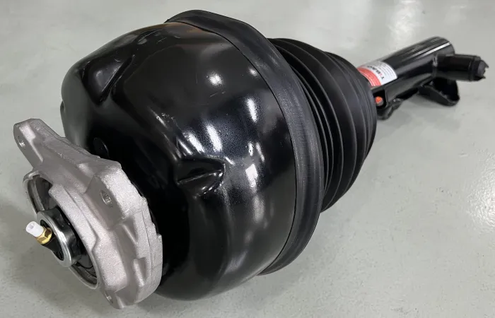 2183203113 Air Suspension Parts Air Suspension Strut for MERCEDES-BENZ CLS (C218)