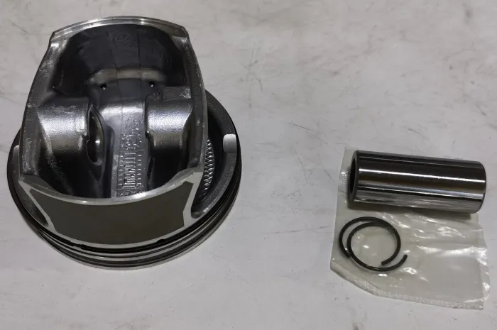 2720308917 Engine Parts Piston for MERCEDES-BENZ E-CLASS T-Model (S211), GLK-CLASS (X204), M-CLASS (W164), CLC-CLASS (CL203), SL (R230), S-CLASS (W221), VITO / MIXTO Van (W639), V-CLASS (W639), C-CLASS (W203), R-CLASS (W251, V251), GL-CLASS (X164), S