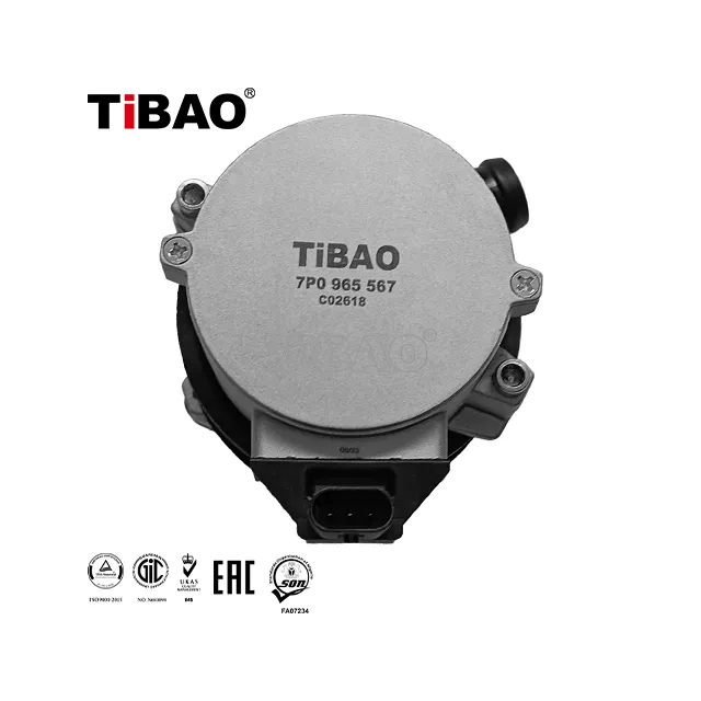 7P0965567 Engine Parts Auxiliary Water Pump for PORSCHE Cayenne, VW TIGUAN, SKODA KODIAQ (NS7, NV7, NS6)