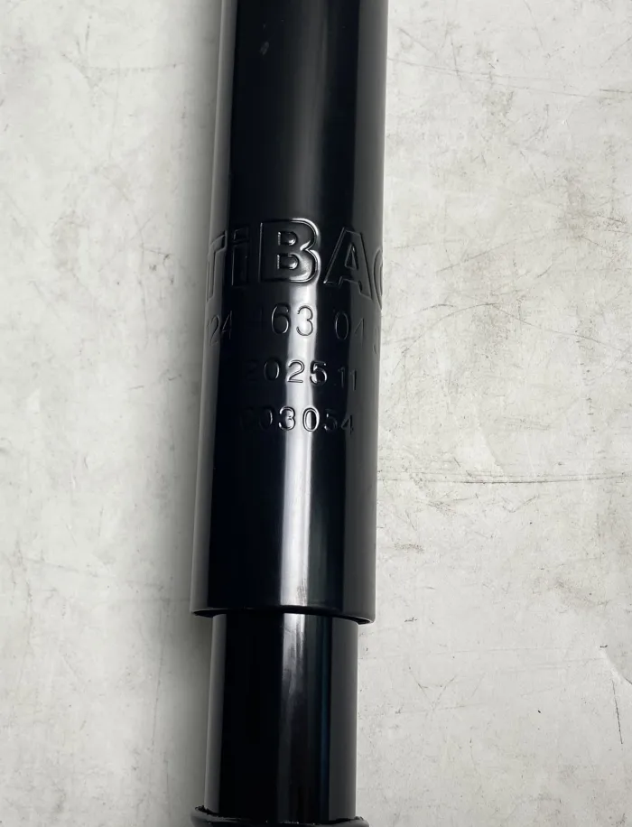 1244630432 Suspension Parts Steering Damper for MERCEDES-BENZ SLK, CHRYSLER CROSSFIRE Roadster