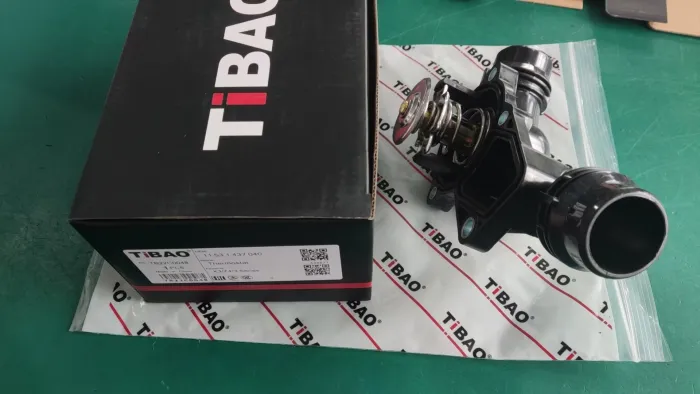 11531437040 Engine Parts Thermostat for BMW X3 (E83), 3 (E46), 5 (E39), Z4 Roadster (E85), 7 (E38), Z3 Roadster (E36), X5 (E53)