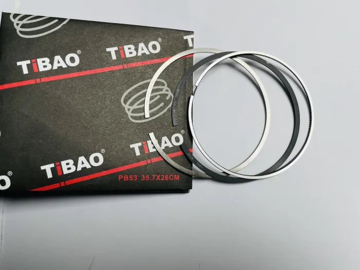 06J198151F Engine Parts Piston Rings for 