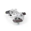 078109087C Cam Chain Tensioner for AUDI A4, VW PASSAT, SKODA SUPERB I (3U4), SUPERB I Sedan (3U4)
