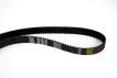03L109119F Engine Parts Regular Belt for AUDI A4, VW BEETLE, SEAT EXEO ST (3R5), SKODA YETI (5L)