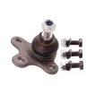 6N0407365A Suspension Parts Ball Joint for VW LUPO, SEAT AROSA (6H1)