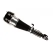 2213209513 Air Suspension Parts Air Suspension Strut for MERCEDES-BENZ S-CLASS (W221)