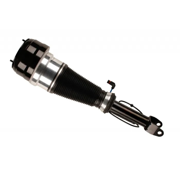2213209513 Air Suspension Parts Air Suspension Strut for MERCEDES-BENZ S-CLASS (W221)