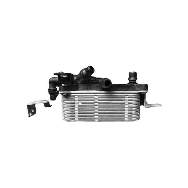 17217638579 Engine Parts BMW Oil Cooler for BMW 7 (F01, F02, F03, F04)