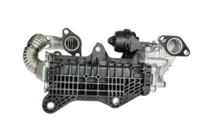 9813050280 EGR Cooler for CITROEN C4 III (BA_, BB_, BC_), FORD TOURNEO CONNECT / GRAND TOURNEO CONNECT V408 MPV