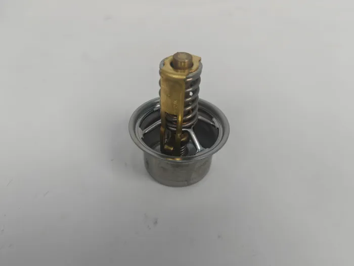  Thermostat for PORSCHE 918 Spyder