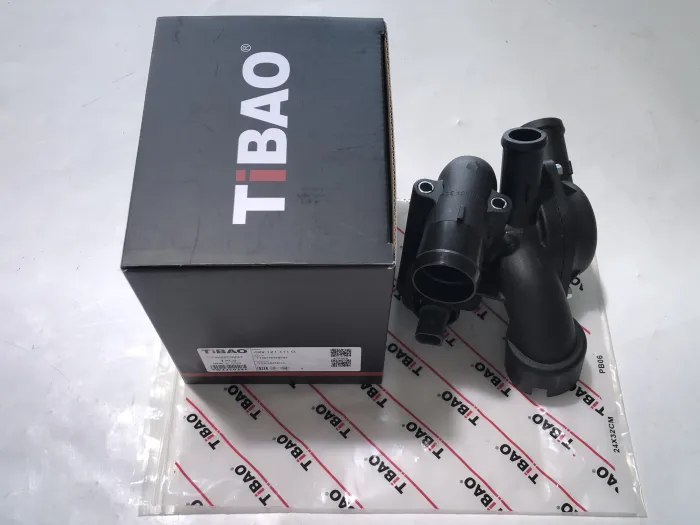 022121111G Engine Parts Thermostat for VW TOUAREG (7LA, 7L6, 7L7)