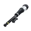 2223205901 Air Suspension Parts Air Suspension Strut for