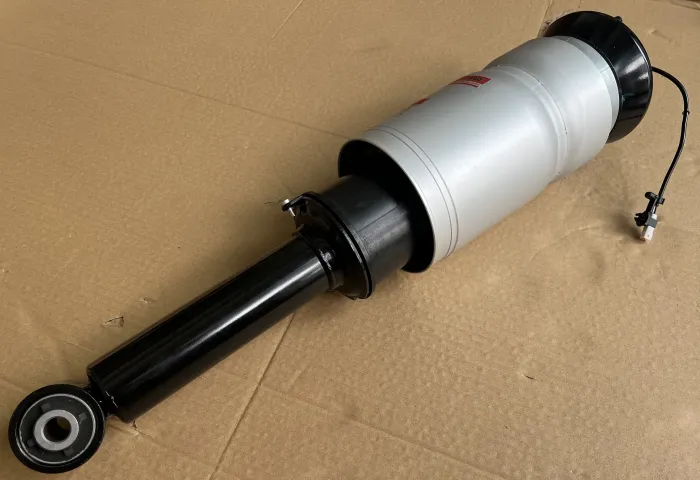 LR019993 Air Suspension Parts Air Suspension Strut for LAND ROVER RANGE ROVER SPORT I (L320)