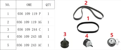 036198119C Engine Parts Timing Component Kit for AUDI A2, VW POLO, SEAT CORDOBA (6L2), CORDOBA Sedan (6L2), SKODA PRAKTIK (5J7), ROOMSTER (5J7)
