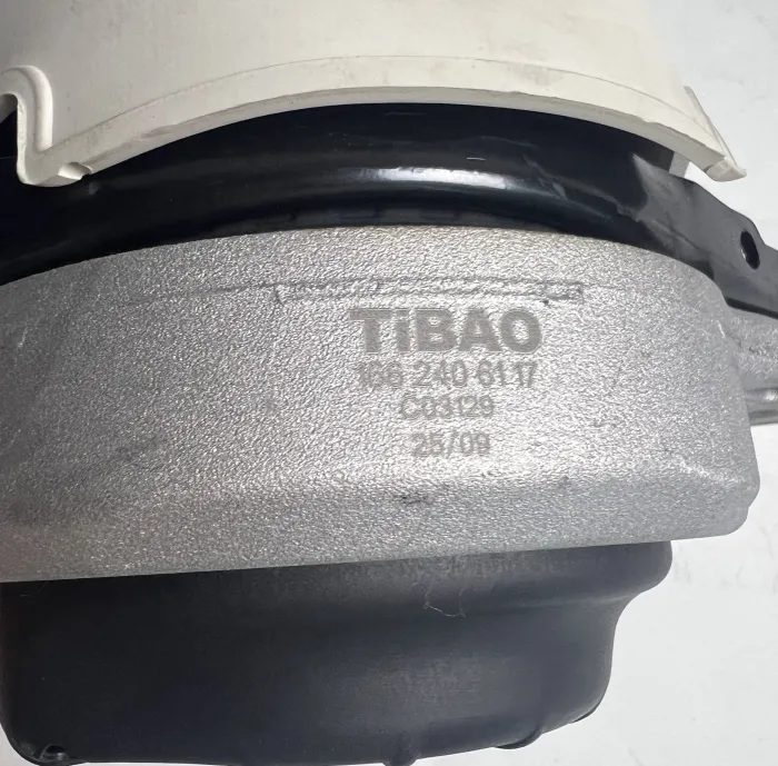 1662406117 Engine Parts Engine Mount for MERCEDES-BENZ GLE (W166), GLS (X166), GL-CLASS (X166), M-CLASS (W166)