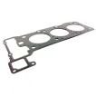 1120160320 Engine Parts Cylinder Head Gasket for MERCEDES-BENZ VITO, CHRYSLER CROSSFIRE, PUCH G-MODELL Cabrio (W463)