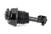 2123203438 Air Suspension Parts Front Air Suspension Strut for MERCEDES-BENZ CLS (C218), E-CLASS (W212)