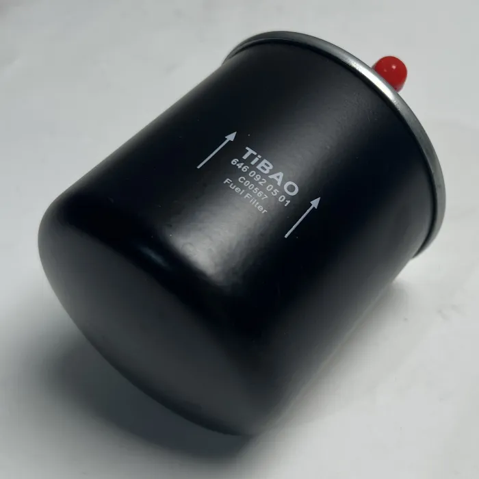 6460920501 Engine Parts Fuel Filter for MERCEDES-BENZ SPRINTER, CHRYSLER 300C (LX, LE), 300C Sedan (LX, LE), MITSUBISHI COLT VI (Z3_A, Z2_A), COLT VI (Z3_A, Z2_A, RG), MI, SMART FORFOUR (454)