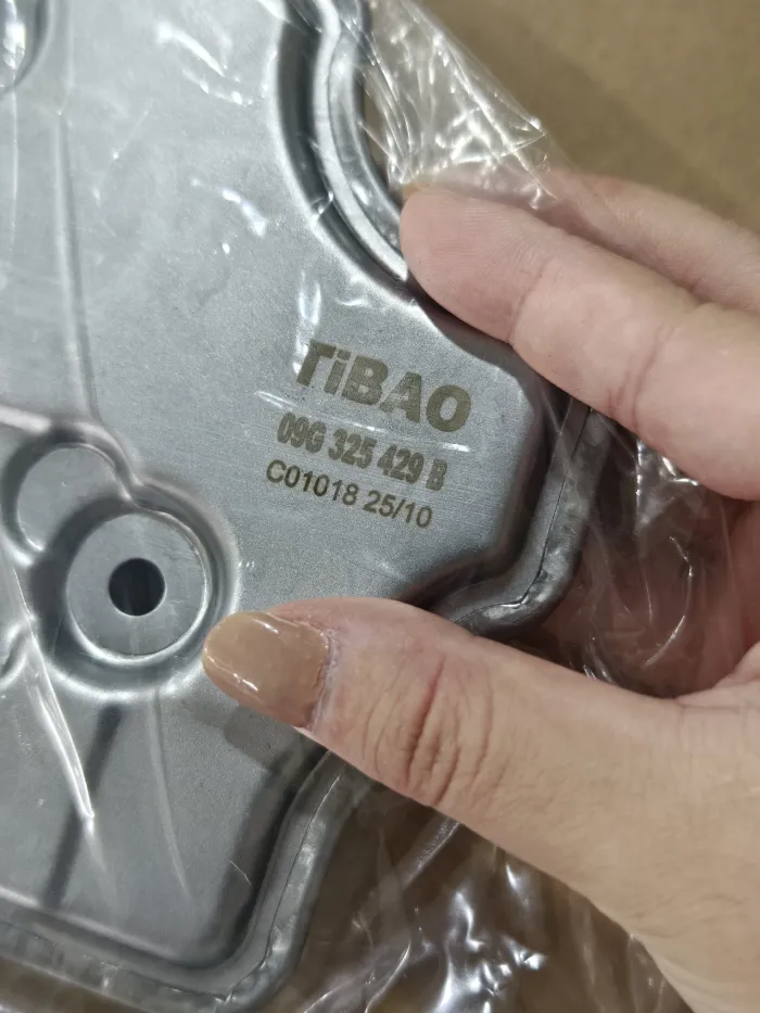 09G325429B Transmission Parts A/T Filter for VW BEETLE (5C1, 5C2), BORA IV (162, 163, AV3, AV2), PASSAT B7 (A32, A33), GOLF VI (5K1)