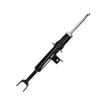 31316789364 F11 Suspension Parts BMW Front Shock Absorber for BMW 5 (F10), 6 Coupe (F13)