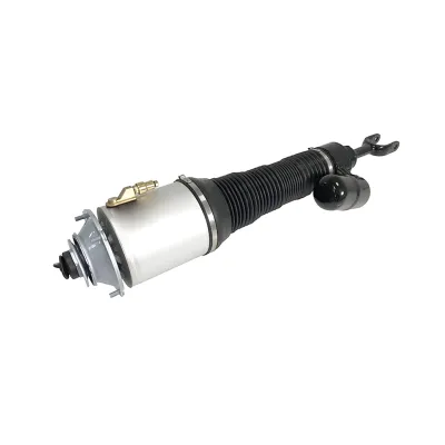 3D0616040D Air Suspension Parts Air Suspension Strut for