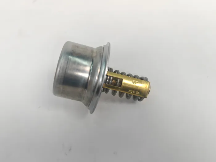  Thermostat for PORSCHE 918 Spyder