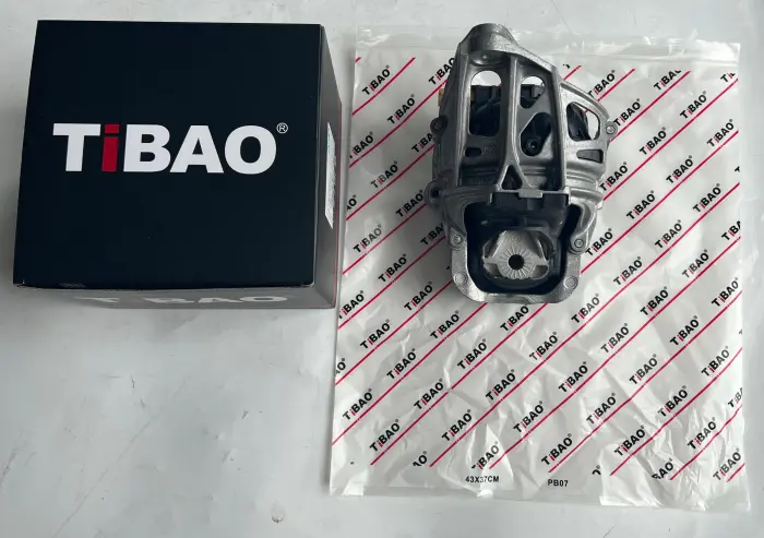 4M0199371M Engine Parts Engine Mount for AUDI Q5 (FYB, FYG)