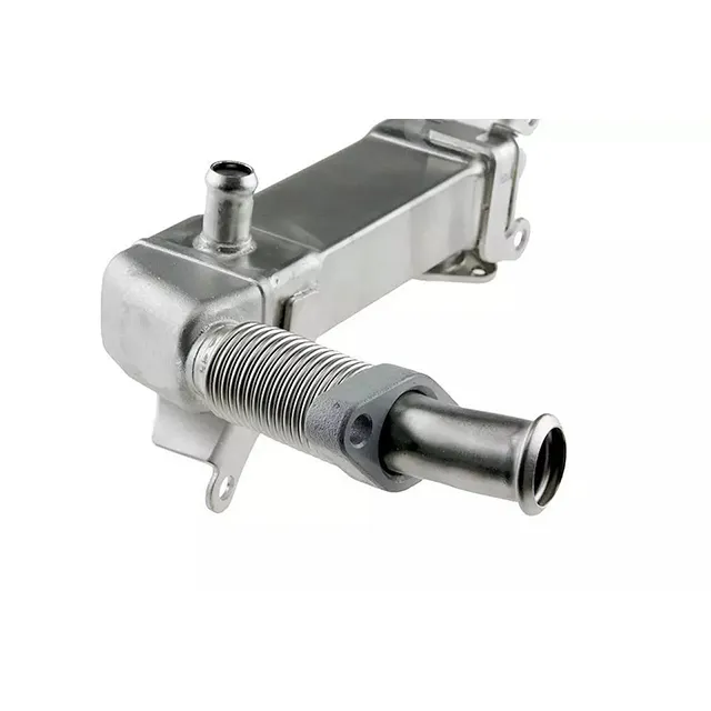 11717790065 EGR Valve for BMW X5 (E53), 5 (E60), X6 (E71, E72), 6 Convertible (E64), 3 (E46), X3 (E83), 1 (E87)