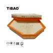 13717601868 Engine Parts Air Filter for BMW X3 (F25), X4 (F26)