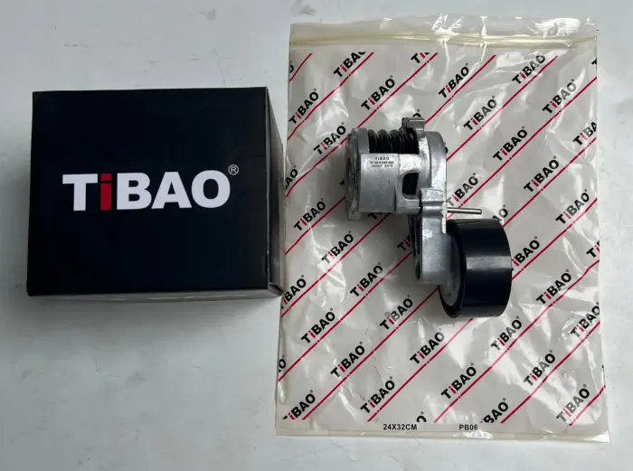 11288620022 Engine Parts Belt Tensioner for BMW 5 (F10), X3 (F25), 7 (F01, F02, F03, F04)
