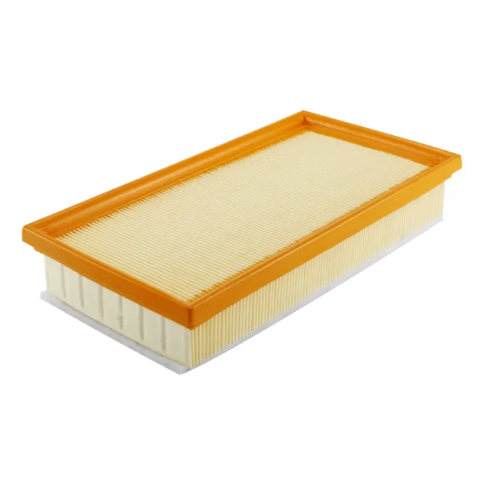 13721702907 Engine Parts Air Filter for BMW X5 (E53), 7 (E38)