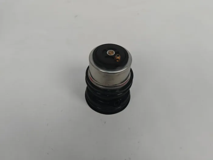94810603401 Engine Parts Thermostat for PORSCHE MACAN (95B), CAYENNE (92A), PANAMERA (970)