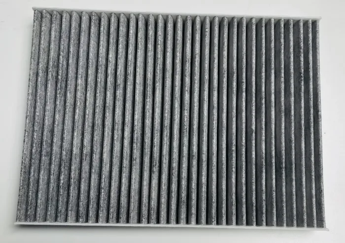 1J0819439 Carbin Filter for 