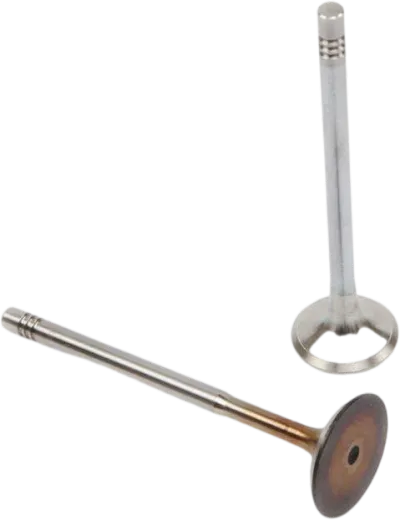 036109601AD Engine Parts Engine Valve for AUDI A3, VW AMEO, SEAT IBIZA IV ST (6J8, 6P8), IBIZA Mk IV ST (6J8, 6P8), SKODA RAPID (NH3, NK3, NK6)