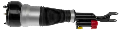 2223208113 Air Suspension Parts Air Suspension Strut for MERCEDES-BENZ S-CLASS (W222, V222, X222)