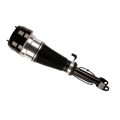 2213209513 Air Suspension Parts Air Suspension Strut for MERCEDES-BENZ S-CLASS (W221)