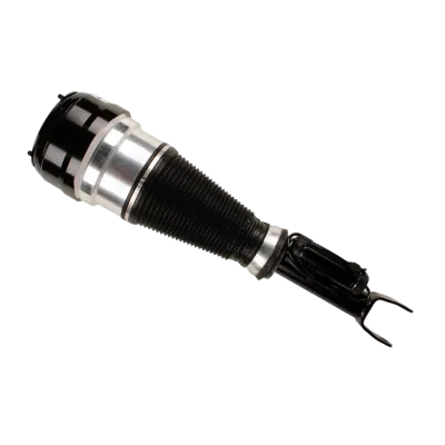 2213209613 Air Suspension Parts Air Suspension Strut for MERCEDES-BENZ S-CLASS (W221)